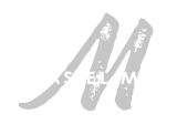 Mas el Mir